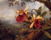 马丁约翰逊赫德 - Orchids and Hummingbird